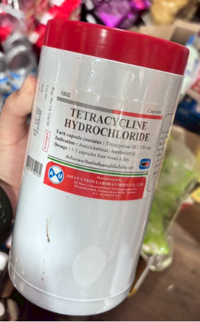 เตทตร้าไซคลิน ไฮโดรคลอไรด์