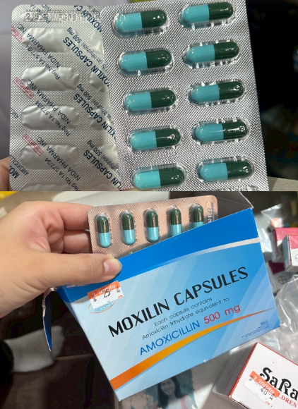 ม็อกซิลิน แคปซูล